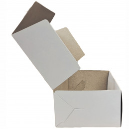Caja Cartulina Blanca Packaging Multiuso 21 x 10.5 x 6.5 cm x20u